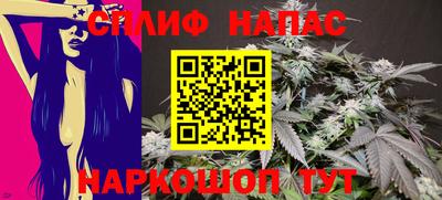 гидра Рыбинск