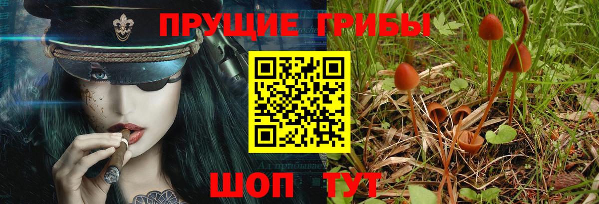 Псилоцибиновые грибы прущие грибы  Вход с VPN  купить наркотики цена  Павловский Посад 